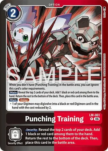 Punching Training