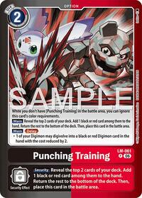 Punching Training