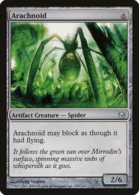 Arachnoid