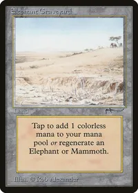 Elephant Graveyard