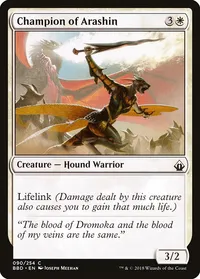 Champion of Arashin