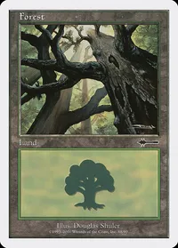 Forest