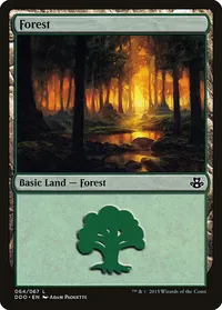 Forest