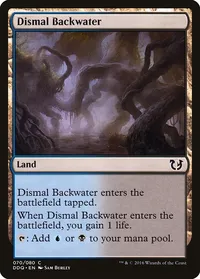 Dismal Backwater