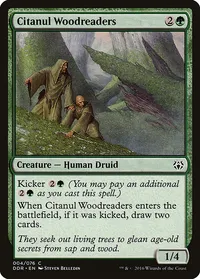 Citanul Woodreaders