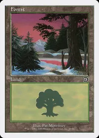 Forest