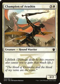 Champion of Arashin