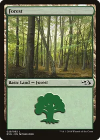 Forest