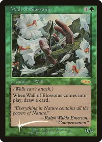 Wall of Blossoms