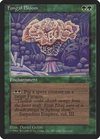 Fungal Bloom