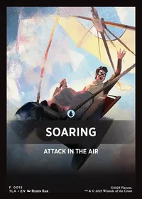 Soaring
