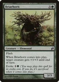 Briarhorn