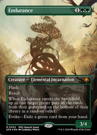 Endurance