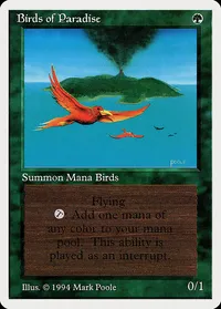 Birds of Paradise