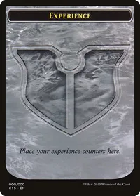 Experience