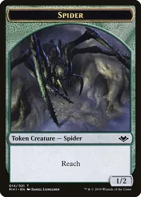 Spider