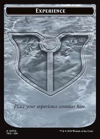 Experience