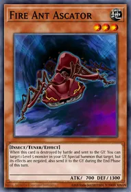 Fire Ant Ascator
