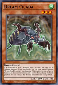 Dream Cicada