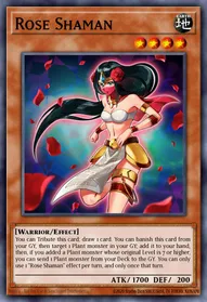 Rose Shaman