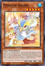 Penguin Squire