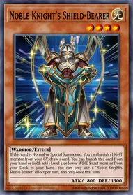 Noble Knight's Shield-Bearer