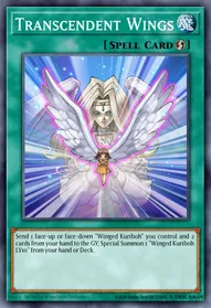 Transcendent Wings