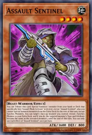 Assault Sentinel