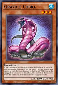 Graydle Cobra