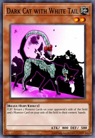 Dark Cat with White Tail