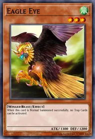 Eagle Eye