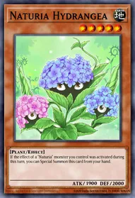 Naturia Hydrangea