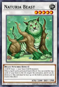 Naturia Beast