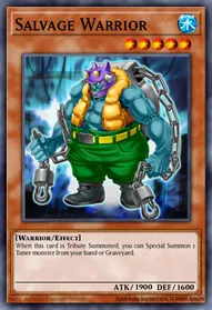 Salvage Warrior