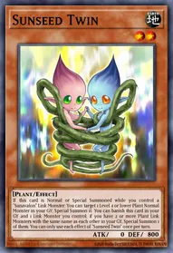 Sunseed Twin