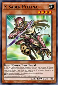 X-Saber Pellina