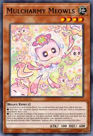 Mulcharmy Meowls