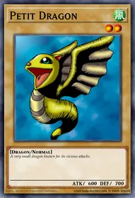 Petit Dragon