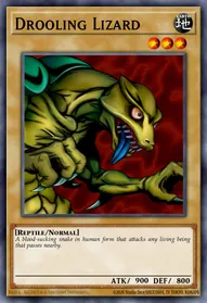 Drooling Lizard