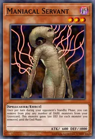 Maniacal Servant