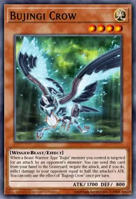 Bujingi Crow