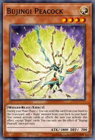 Bujingi Peacock