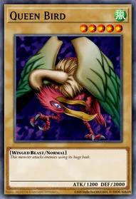 Queen Bird