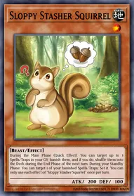 Sloppy Stasher Squirrel