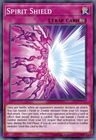 Spirit Shield