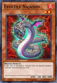 Evoltile Najasho