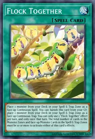Flock Together