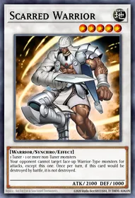 Scarred Warrior