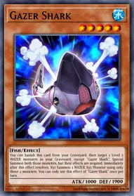 Gazer Shark
