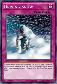 Driving Snow